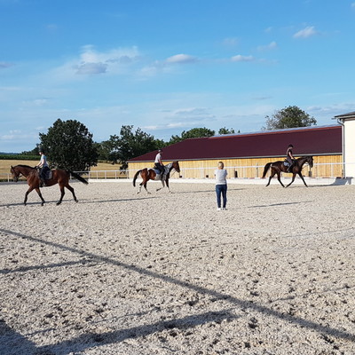 Reiterhof, 300m entfernt