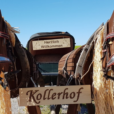 Reiterhof, 300m entfernt