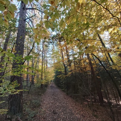 Die Gegend erkunden....