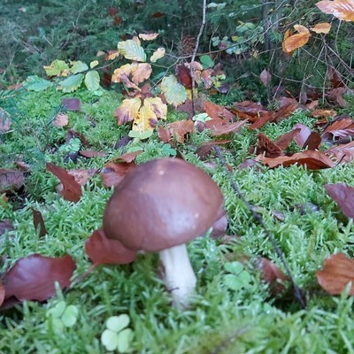 Die Gegend erkunden....