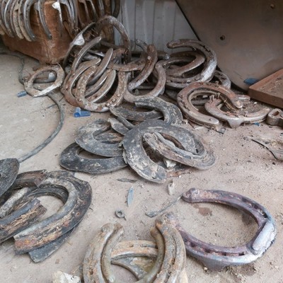 Reiterhof, 300m entfernt