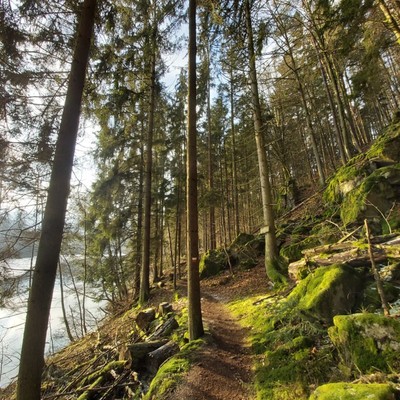 Die Gegend erkunden....