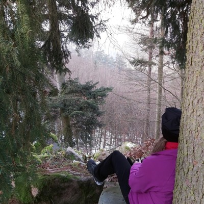 Die Gegend erkunden....