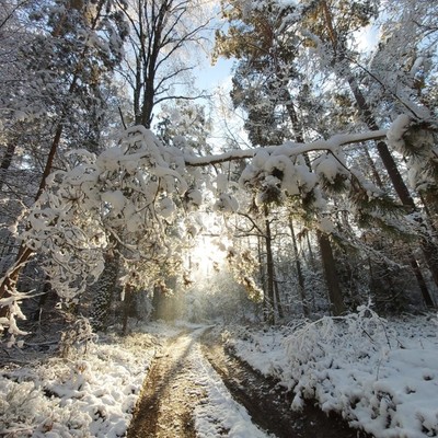 Die Gegend erkunden....
