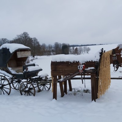 Reiterhof, 300m entfernt