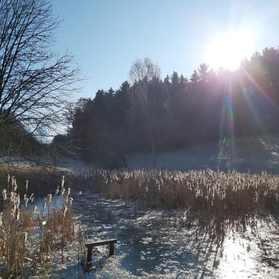 Die Gegend erkunden....