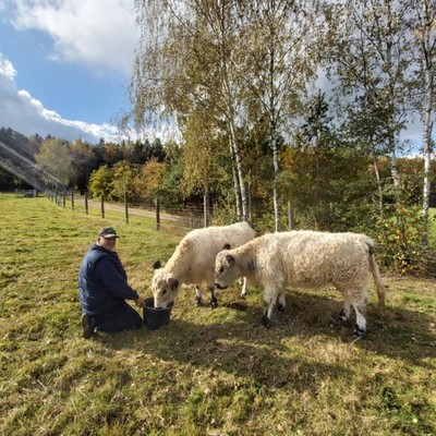 Reiterhof, 300m entfernt