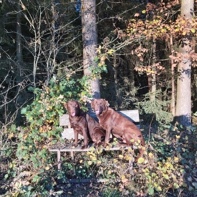 Reiterhof, 300m entfernt